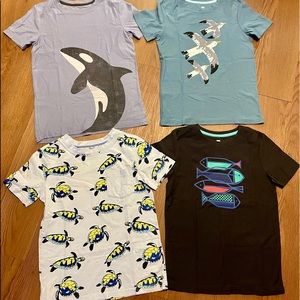 Tea Collection short sleeve tee bundle